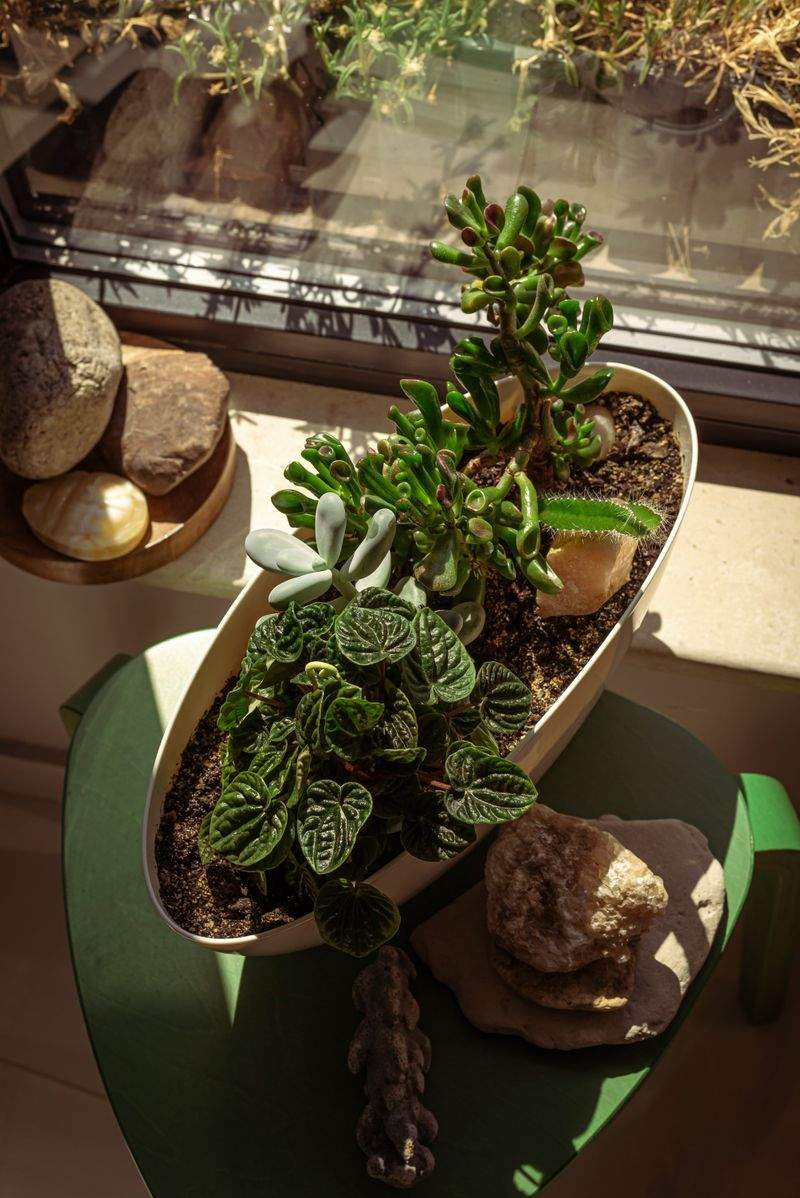 冬のアウトドア趣味を楽しむ方法