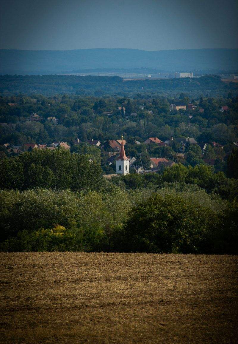 趣味として始める陶芸の魅力