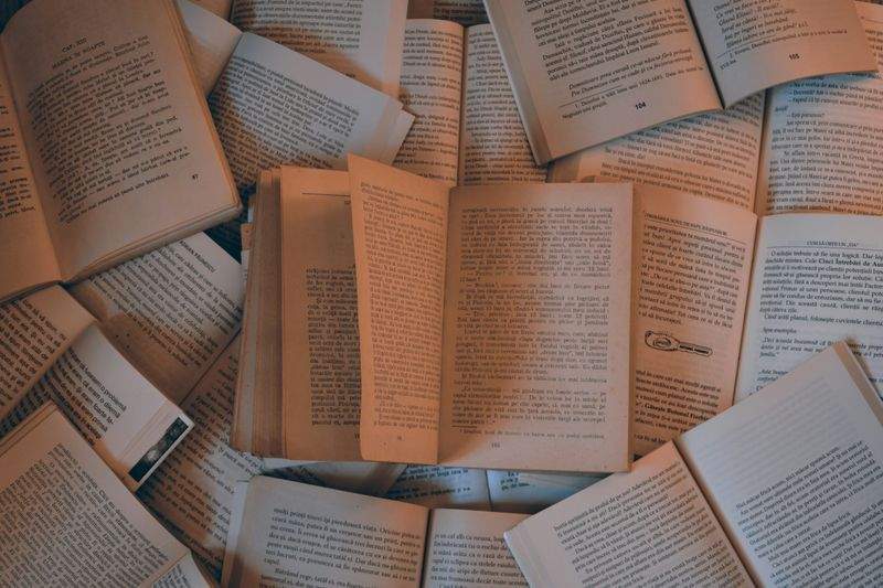 写真撮影で心を癒す時間